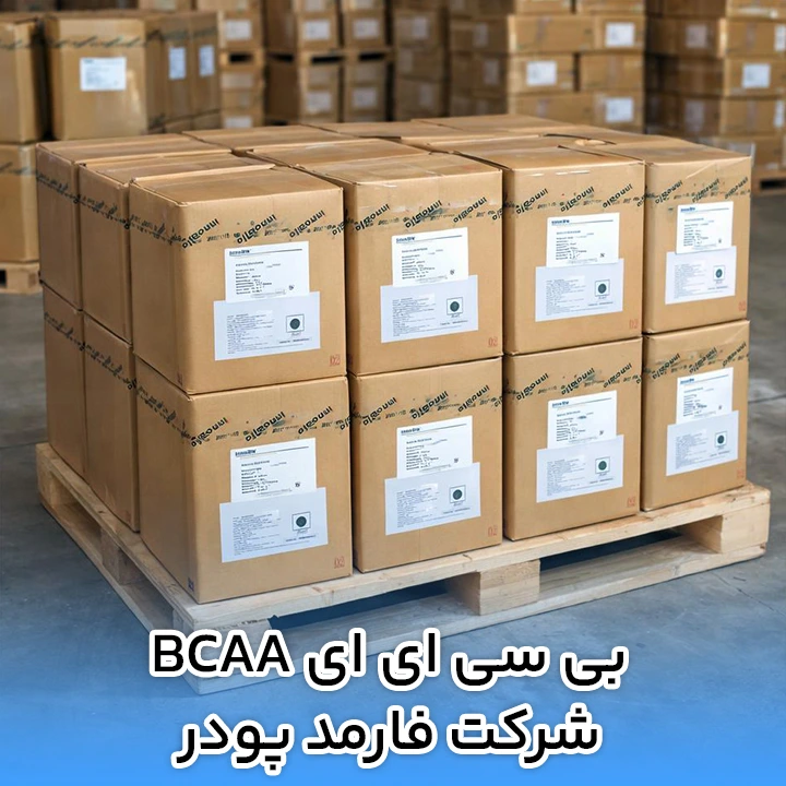 بی سی ای ای BCAA شرکت فارمد پودر
